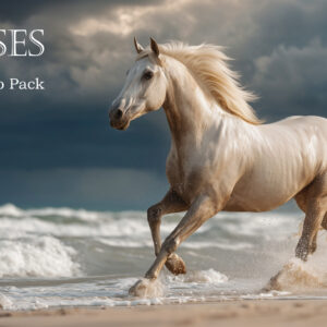 Majestic White Stallion - UHD Horse Photo Pack